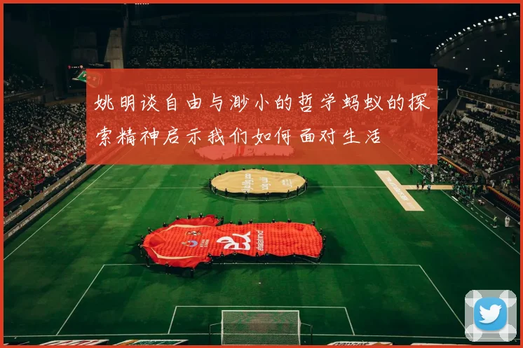 姚明谈自由与渺小的哲学蚂蚁的探索精神启示我们如何面对生活
