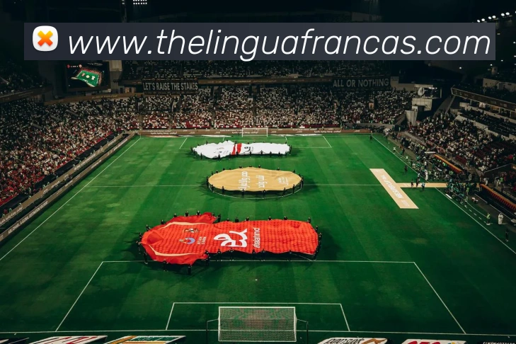 战术演练